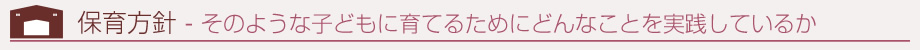 保育方針 - そのような子どもに育てるためにどんなことを実践しているか